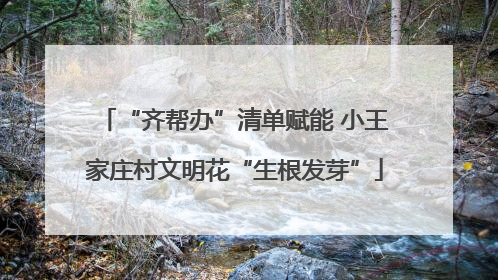 “齐帮办”清单赋能 小王家庄村文明花“生根发芽”