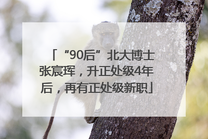 “90后”北大博士张宸珲，升正处级4年后，再有正处级新职