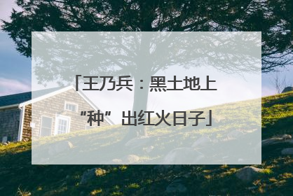 王乃兵：黑土地上“种”出红火日子