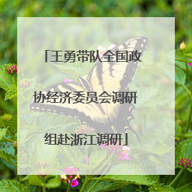 王勇带队全国政协经济委员会调研组赴浙江调研