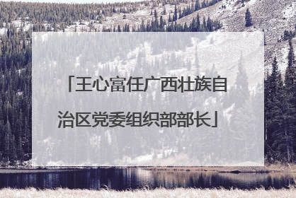 王心富任广西壮族自治区党委组织部部长