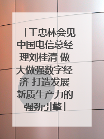 王忠林会见中国电信总经理刘桂清 做大做强数字经济 打造发展新质生产力的强劲引擎