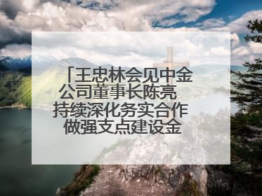 王忠林会见中金公司董事长陈亮 持续深化务实合作 做强支点建设金融支撑