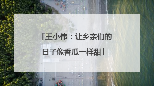 王小伟：让乡亲们的日子像香瓜一样甜