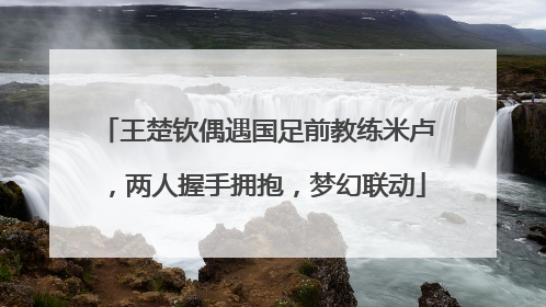 王楚钦偶遇国足前教练米卢，两人握手拥抱，梦幻联动