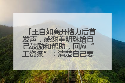 王自如离开格力后首发声，感谢董明珠给自己鼓励和帮助，回应“工资条”：清楚自己要什么，工资条不重要