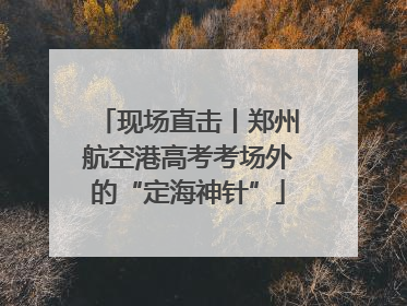 现场直击丨郑州航空港高考考场外的“定海神针”