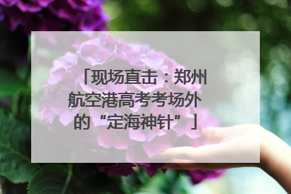 现场直击：郑州航空港高考考场外的“定海神针”