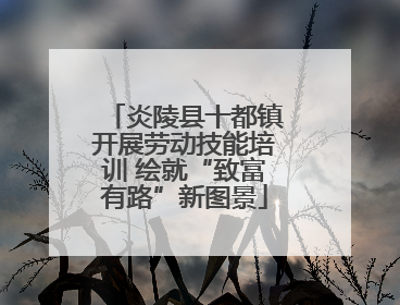 炎陵县十都镇开展劳动技能培训 绘就“致富有路”新图景