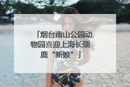 烟台南山公园动物园喜迎上海长颈鹿“新娘”