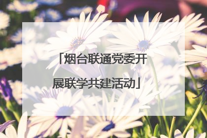 烟台联通党委开展联学共建活动
