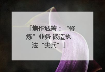 焦作城管：“修炼”业务 锻造执法“尖兵”