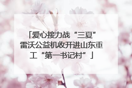 爱心接力战“三夏” 雷沃公益机收开进山东重工“第一书记村”