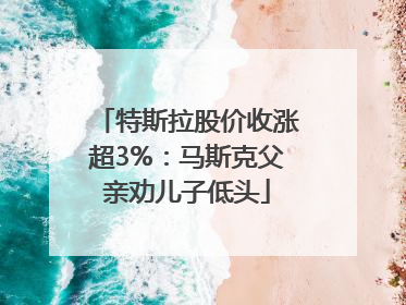 特斯拉股价收涨超3%：马斯克父亲劝儿子低头