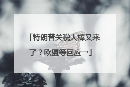 特朗普关税大棒又来了？欧盟等回应→
