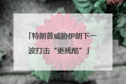 特朗普威胁伊朗下一波打击“更残酷”