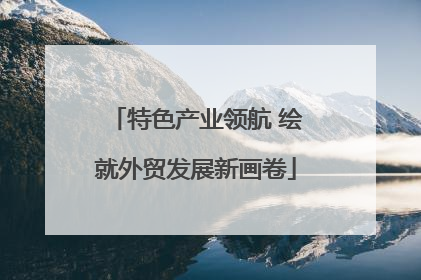 特色产业领航 绘就外贸发展新画卷