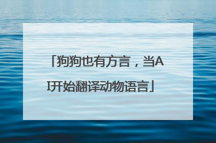 狗狗也有方言，当AI开始翻译动物语言