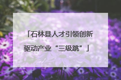 石林县人才引领创新驱动产业“三级跳”