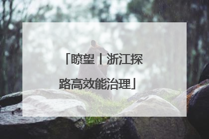 瞭望丨浙江探路高效能治理