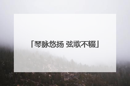 琴脉悠扬 弦歌不辍