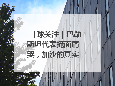 球关注｜巴勒斯坦代表掩面痛哭，加沙的真实现状让人痛心