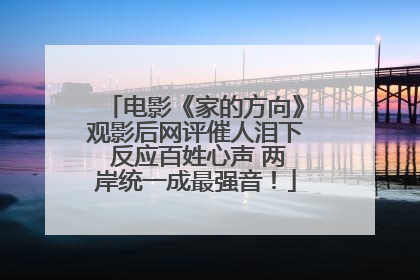 电影《家的方向》观影后网评催人泪下 反应百姓心声 两岸统一成最强音！