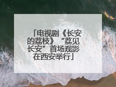 电视剧《长安的荔枝》“荔见长安”首场观影在西安举行