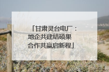 甘肃灵台电厂：地企共建结硕果 合作共赢启新程