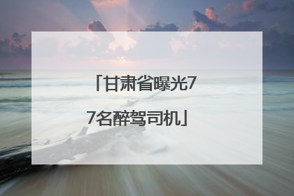 甘肃省曝光77名醉驾司机