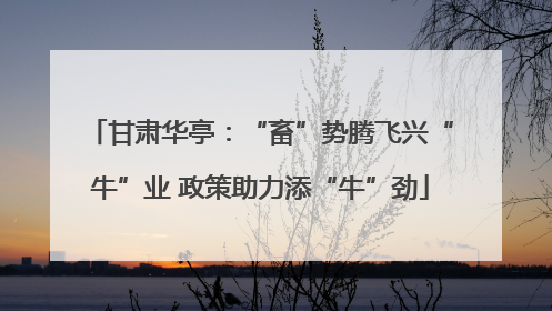 甘肃华亭：“畜”势腾飞兴“牛”业 政策助力添“牛”劲