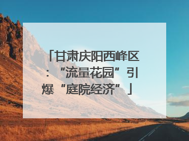 甘肃庆阳西峰区：“流量花园”引爆“庭院经济”