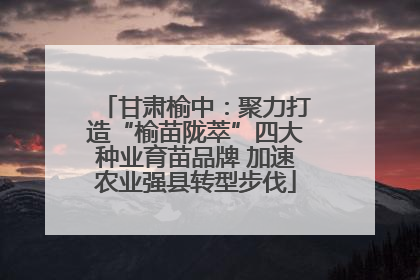 甘肃榆中：聚力打造“榆苗陇萃”四大种业育苗品牌 加速农业强县转型步伐