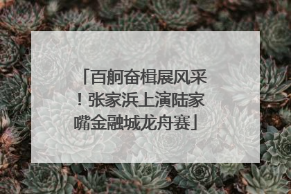 百舸奋楫展风采！张家浜上演陆家嘴金融城龙舟赛