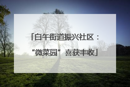 白午街道振兴社区：“微菜园”喜获丰收