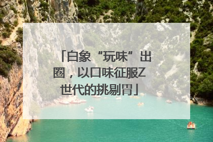 白象“玩味”出圈，以口味征服Z世代的挑剔胃