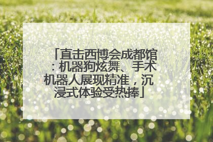 直击西博会成都馆：机器狗炫舞、手术机器人展现精准，沉浸式体验受热捧