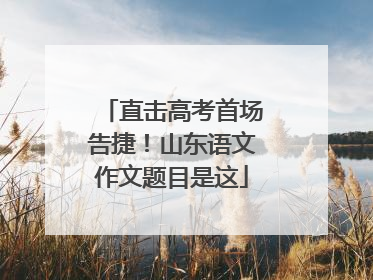 直击高考首场告捷！山东语文作文题目是这
