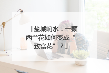 盐城响水：一颗西兰花如何变成“致富花”？