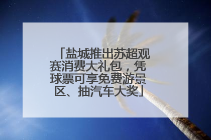 盐城推出苏超观赛消费大礼包，凭球票可享免费游景区、抽汽车大奖