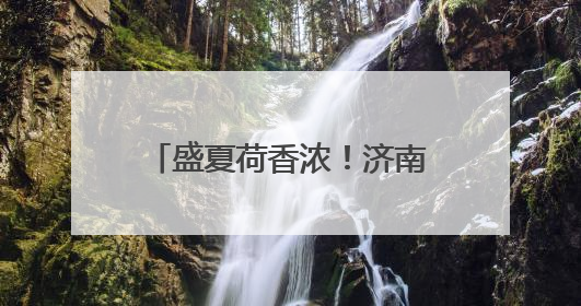 盛夏荷香浓！济南大明湖荷花率先开启“颜值暴击”