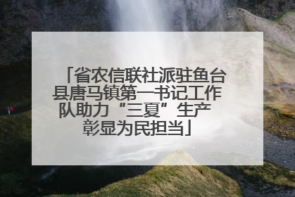 省农信联社派驻鱼台县唐马镇第一书记工作队助力“三夏”生产 彰显为民担当