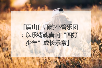眉山仁师附小管乐团：以乐铸魂奏响“四好少年”成长乐章