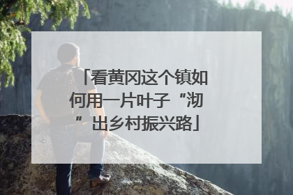 看黄冈这个镇如何用一片叶子“沏”出乡村振兴路