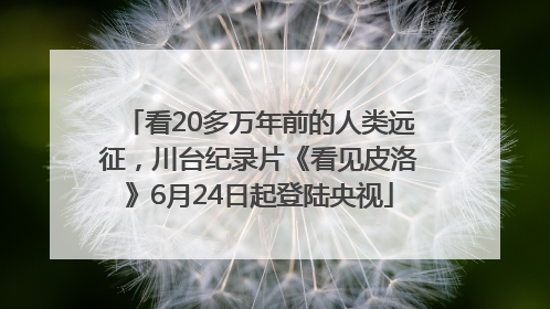 看20多万年前的人类远征，川台纪录片《看见皮洛》6月24日起登陆央视