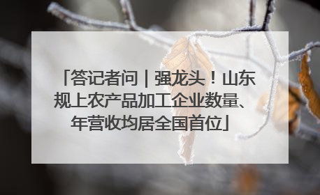 答记者问｜强龙头！山东规上农产品加工企业数量、年营收均居全国首位