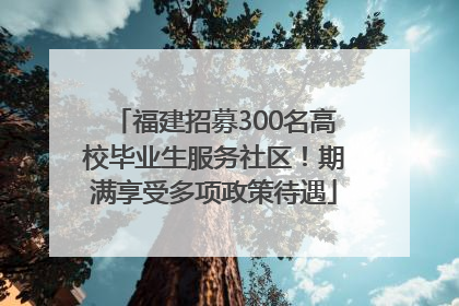 福建招募300名高校毕业生服务社区！期满享受多项政策待遇