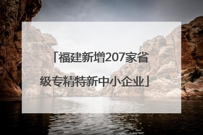 福建新增207家省级专精特新中小企业