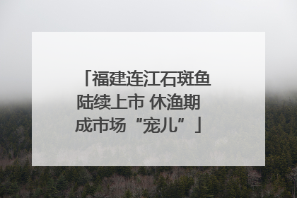 福建连江石斑鱼陆续上市 休渔期成市场“宠儿”