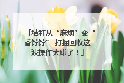 秸秆从“麻烦”变“香饽饽” 打捆回收这波操作太赚了！